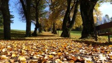モードな雰囲気が楽しめる秋ネイル3種類！大人ぽい雰囲気が多く、落ち着いたカラーが魅力的♪