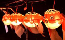 この夏乗りたい！“金魚のちょうちん”が並ぶ納涼船がカワイイ！