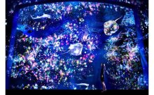 目がくらむほど美しい！えのすい×チームラボ“夜の光の水族館”が開幕