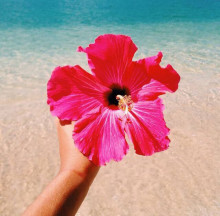 夏、ハワイ、海、リゾート…♡夏ネイルには「 ハイビスカス 」が似合う♪