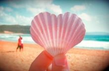 夏を楽しむ♡ 2015年のシェルネイルは貝殻フレンチでキマリ☆