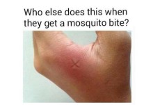 これで「かゆみ」も撃退!?  夏の大敵、蚊に刺されたときの正しい対処法って？