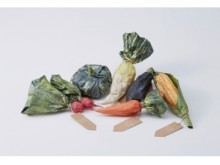 廃棄野菜から新しい野菜が育つ!?“0円野菜”とは…？
