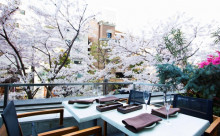 都心にいながらゆったりお花見♡人込みを気にせず桜が楽しめる東京のレストラン＆バー8選