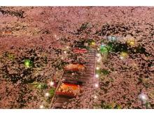 高輪エリアのプリンスホテルにて「高輪桜まつり2018」開催！