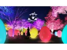 日本三大夜城「高知城」が光のアート空間に大変身！