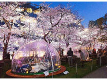 満天の桜と美味しい食事をドーム型テントで楽しもう