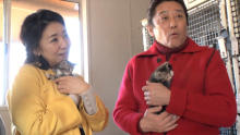 キンプリ髙橋海人も興奮！“噂の黒猫”を追跡＆4万匹の猫を救った1人の女性