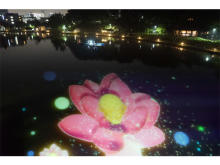 美しいハスが夜の池に咲き誇る！光×ライブのアートイベント
