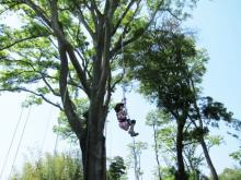 週末は琵琶湖近くの公園で“木登りイベント”に参加しよう！