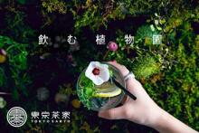4日間だけのお楽しみ♩日本茶×植物園の体験型アートイベント「飲む植物園＠東京茶寮」が再登場！