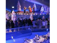 「すみだ水族館」で家族もカップルも楽しめるクリスマスミニライブ開催！