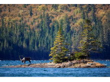 北米大陸「ノースウッズ」の知られざる森と湖の世界を写真で魅了