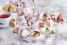 庭園の桜もお楽しみ♩京都の春を満喫するフォーシーズンズホテル京都の「さくらアフタヌーンティー」がステキ♡