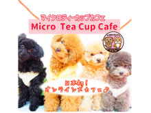 可愛い姿に癒される！日本初「オンライン犬カフェ」がスタート
