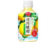 今が旬！愛媛県産河内晩柑果汁を30％使用した「すっきり河内晩柑」登場