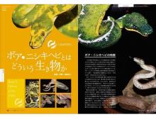 美しくダイナミックな大蛇の世界！ニシキヘビとボアにフォーカスした図鑑