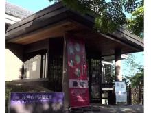 徳川家ゆかりの女性たち“プリンセス・トクガワ”の暮らしに迫る企画展