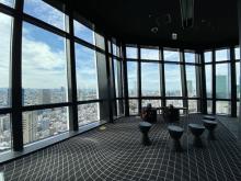 営業開始前の展望台へ！東京タワーで天空を楽しむ茶道体験「朝茶の湯」開催