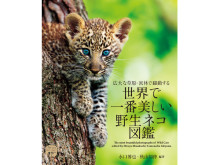魅力的な写真や貴重な情報を網羅！『世界で一番美しい野生ネコ図鑑』発売