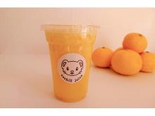 「こちる cochill juice」で幻のオレンジ“湘南ゴールド”100％ジュース発売