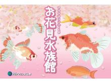 “桜金魚”の特別展示も！「アクアマリンふくしま お花見水族館」で春を満喫