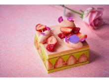 母の日の贈り物に！華やかな苺の断面が目を惹く新作ケーキ“フレジェ”登場