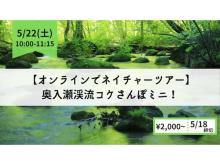 青森県の奥入瀬渓流で“コケさんぽ”を楽しむオンラインツアーが開催！
