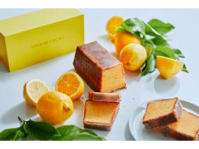 初夏にぴったり！カカオのフルーツビネガーを使用した「レモンケーキ」登場