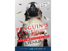 京都水族館で「ペンギン換羽(かんう)コレクション2021」開催