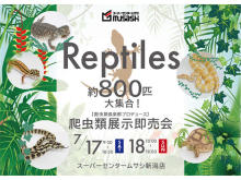 専門誌「ビバリウムガイド」編集長も登場！約800匹の「爬虫類展示即売会」新潟で開催
