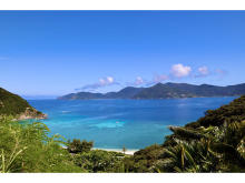 夏休み特別イベント！「奄美大島の自然と文化を丸ごと体感！オンライン自由研究」開催