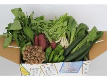 8月31日限定！行方市が、旬の野菜8品目を詰めた「旬の野菜ボックス」を特別価格で販売