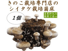 産地直送通販サイト「JAタウン」にて“しいたけ栽培菌床”の販売スタート