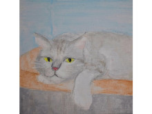 大佛次郎氏の作品『猫のいる日々』の世界を女子美術大学付属中学校2年生が挿絵で表現
