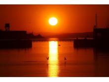 世界遺産の三池港から見える絶景「光の航路」の撮影ポイントを期間限定で開放！