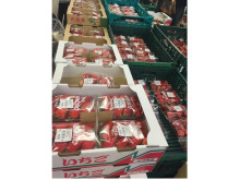 旬の駅トドロキタウン店に地元いちご生産者約50件から採れたてのイチゴが続々と入荷