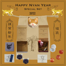 来る2022年は何か新しいことに挑戦したい。9.kyuuのお得な福袋でネコ型の美容石鹸を手作りしてみない？