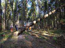 施主とともに大黒柱となる檜を伐採する「家族で選ぶ 我が家の大黒柱伐採会」を開催