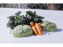 恵まれた風土と豪雪が生み出す信濃町の新ブランド「信州 信濃町 雪まち野菜」誕生