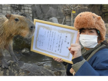 首位奪還！伊豆シャボテン動物公園が7年ぶりに「カピバラの長風呂対決」で優勝
