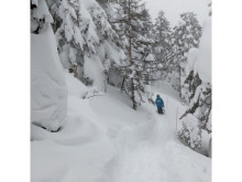 裏磐梯の上質なパウダースノーを歩いて体験！約200mの雪上連絡コース「森の小路」登場