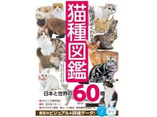 魅力的な写真も多く掲載！『いちばんよくわかる猫種図鑑 日本と世界の60種』が発売