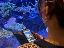 音声で世界を拡張！竹島水族館が音声ARコンテンツ「VOTORY」を導入