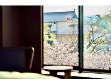 二条城の桜とともに過ごすホテル滞在！プライベート感溢れる春限定プログラム登場
