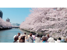 水都「東京」桜の名所をクルーズ船で巡る！目黒川・隅田川二大お花見クルーズ販売開始