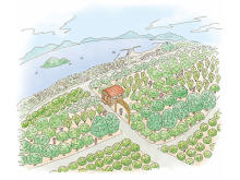 耕作放棄地を循環型農園にアップサイクル！日本初のミックスナッツ農園が生口島に誕生