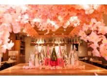 日本酒と花見を安心して楽しめる！『日本酒原価酒蔵 店内お花見キャンペーン』開催中