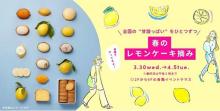 全国のレモンアイテムが大阪に大集合～！1週間だけの「レモンケーキ摘み」イベントが阪神梅田本店で開催