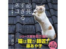 「ノンストップ」で紹介！猫写真集『必死すぎるネコ～一心不乱篇～』が重版出来